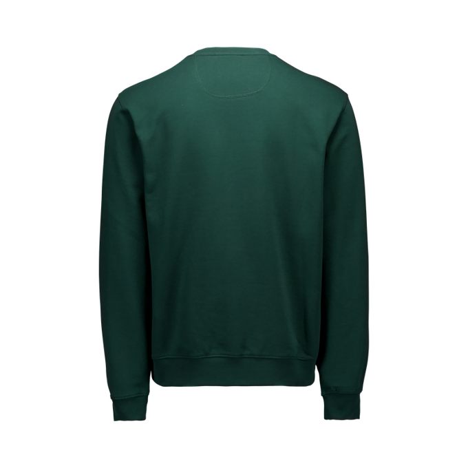 Hoodie POC Crew Pargasite Green - 2024/25