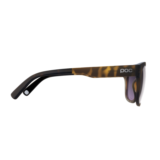 Sunglasses POC Require Tortoise Brown/Clarity Road/Sunny Silver