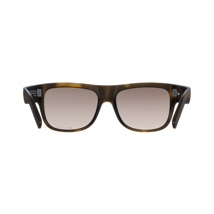 Sunglasses POC Want Tortoise Brown/Clarity Trail/Partly Sunny Silver