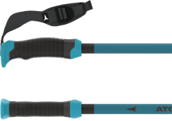 Ski poles Atomic Redster X Carbon SQS Teal Blue – 2024/25