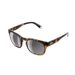 Sunglasses POC Require Tortoise Brown/Clarity Road/Sunny Silver