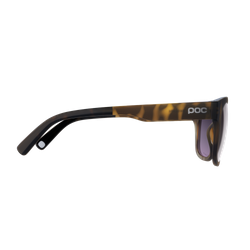 Sunglasses POC Require Tortoise Brown/Clarity Road/Sunny Silver