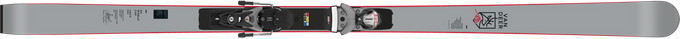 Ski Van Deer GS FIS WC 30 R22 WC + Spx 12 Rockerace GW B80 Grey - 2023/24