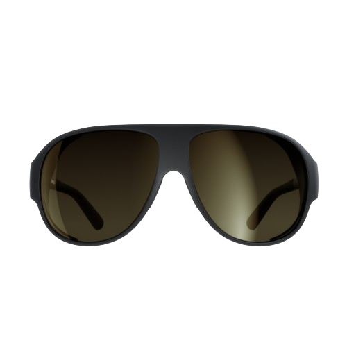 Sonnenbrille POC Nivalis Uranium Black/Clarity Universal/Glacial Gold