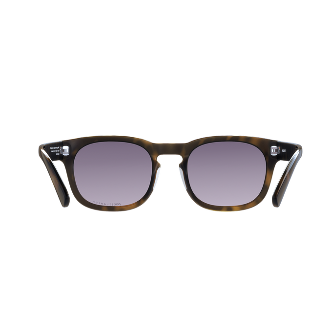 Sunglasses POC Require Tortoise Brown - 2024/25