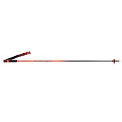 Ski poles Rossignol Hero Carbon - 2024/25