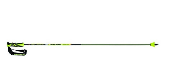 Poles Gabel GS Carbon Race - 2024/25