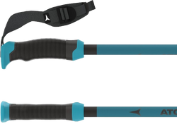 Ski poles Atomic Redster X Carbon SQS Teal Blue – 2024/25