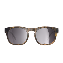 Sunglasses POC Require Tortoise Brown - 2024/25