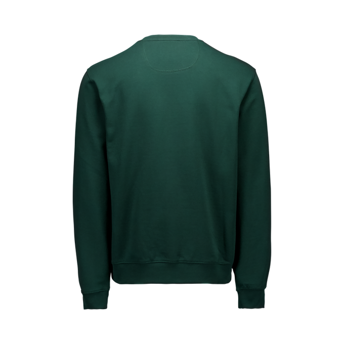 Hoodie POC Crew Pargasite Green - 2024/25