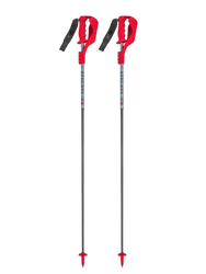 Poles Van Deer Race SL Carbon - 2025/26