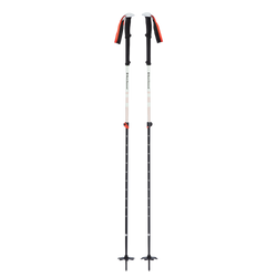 Tourenstöcke Black Diamond Expedition 2 Ski Poles - 2023/24
