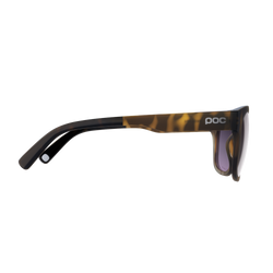 Sunglasses POC Require Tortoise Brown - 2024/25